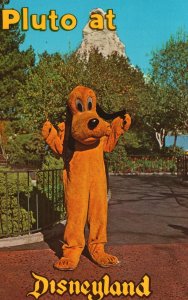 Vintage Postcard Pluto Lopes In Search Of His Lifelong Companion Mickey Mouse