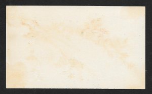 VICTORIAN TRADE CARDS (3) Flowers & Feathers Series 30