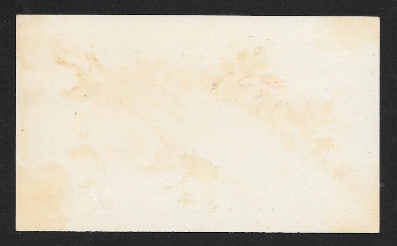 VICTORIAN TRADE CARDS (3) Flowers & Feathers Series 30