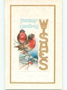 Divided-Back CHRISTMAS BIRDS SCENE Pretty Postcard W8581