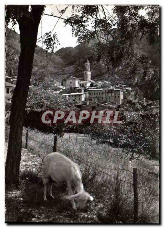 Postcard Modern Medieval Village General view Luceram Chevre