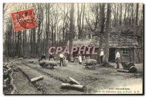 Old Postcard Fougeres Sabotiers Hut in the Forest TOP