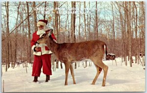 Postcard - Greetings From Cohick's Trading Post - Salladasburg, Pennsylvania