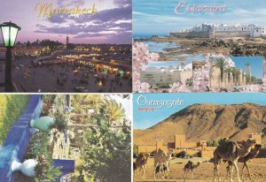 Morocco Jardin Marjorelle Zagora Essaouria 4x Postcard s