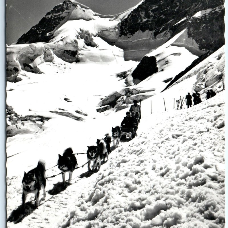c1950s Interlaken, Switzerland Snow Dog Sled Team RPPC Verlag Walter Schild A150