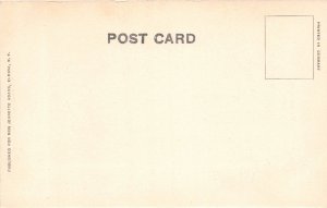 ELMIRA NEW YORK~NEW LAKE STREET BRIDGE~JEANETTE ADAMS PUBLISHED POSTCARD 1900s