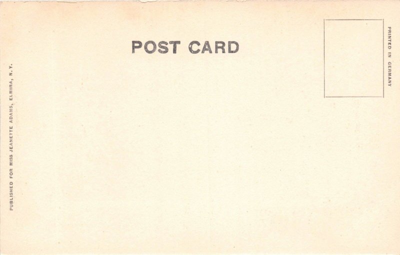 ELMIRA NEW YORK~NEW LAKE STREET BRIDGE~JEANETTE ADAMS PUBLISHED POSTCARD 1900s