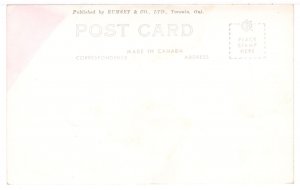 Dawson Falls, Clearwater, British Columbia, Canada