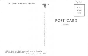 Mother Bear & Cubs Allegany State Park, New York, USA Postcard