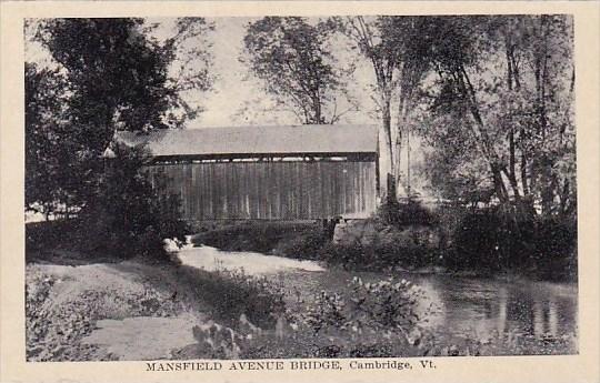 Mansfield Avenue Bridge Cambridge Vermont