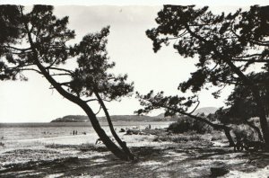 France Postcard - Cavalaire-Sur-Mer - Plage Pardigon - Ref TZ3926