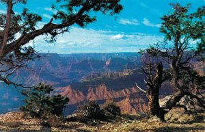 USA Grand Canyon National Park Arizona Vintage Postcard 08.12