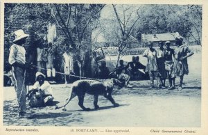 chad tchad, FORT-LAMY, Natives with Tamed Lion (1920s) Postcard