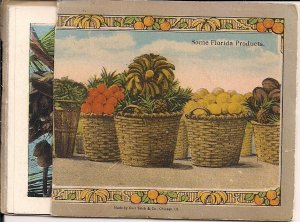 Florida Produts, Fruit, Food 1910 Mini Postcard Folder FL,