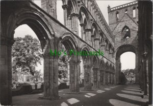 Scotland Postcard - Jedburgh Abbey Kirk, The Nave, Roxburghshire   RR15934