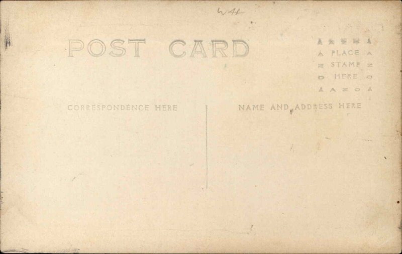 Belleview Florida FL Lake Lillian c1910 Vintage Postcard