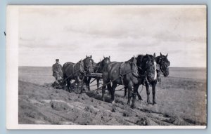 Farming Postcard RPPC Photo Farmer Pipe Horses Farming Plow c1910's Antique