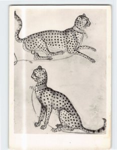 M-179031 Two Cheetahs Or Hunting Leopards The British Museum London England