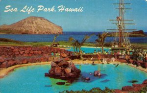 OAHU, HI Hawaii  SEA LIFE PARK~Leeward Isles Pool & Ship ANIMAL EXHIBIT Postcard