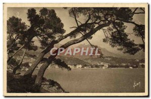 Old Postcard Menton Cap Martin Matinee Spring in Cap Martin