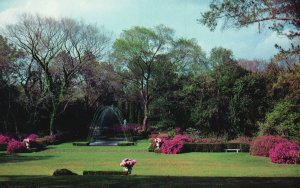 Vintage Postcard Diana Garden The Bayou Bend Collection Museum Fine Arts Houston