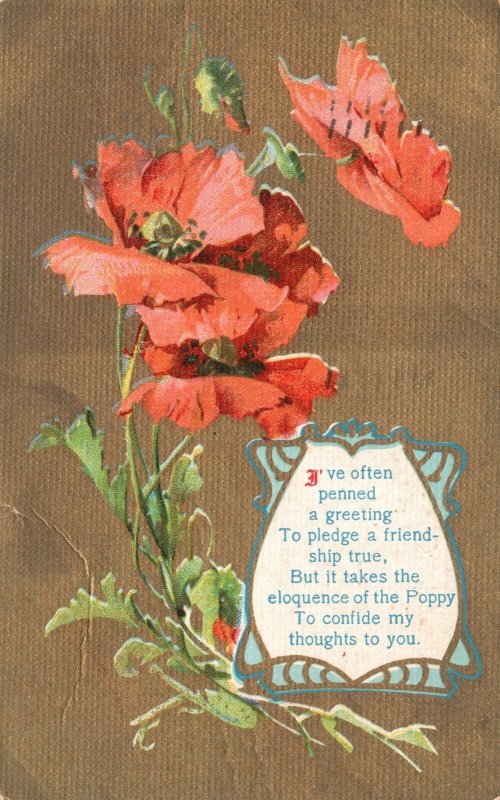 Vintage Postcard 1911 Orange Poppies Greetings And Wishes Remembrance Card