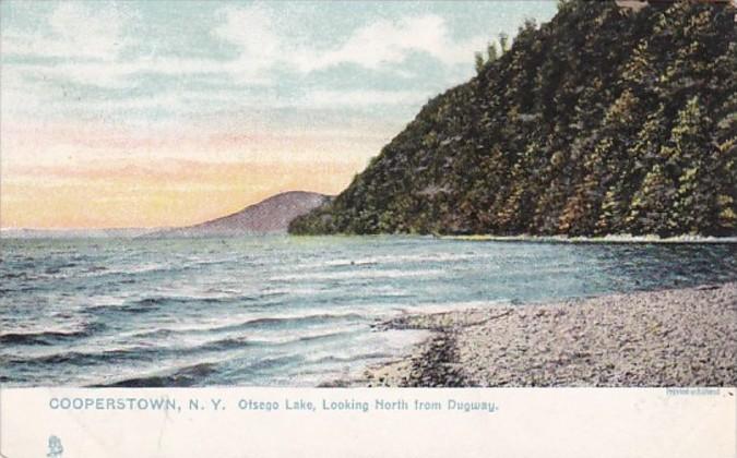 New York Cooperstown Otsego Lake Looking North From Dugway Tucks