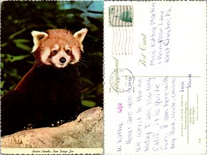 San Diego Zoo (15147