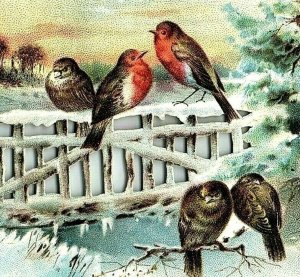 1880's-90's Victorian Die-Cut Card Wild Birds On Fence Sunset Fab! P157