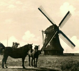 Vtg  RPPC Jever Germany Slaughterhouse Mill Windmill Horses Schlachtmuhle UNP