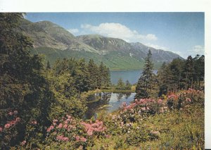 Scotland Postcard - Loch Lochy - Inverness-shire - Ref TZ8668