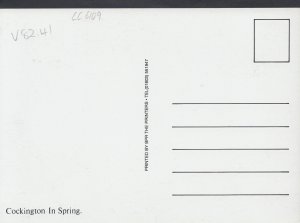 Devon Postcard - Cockington Church In Spring    LC6109