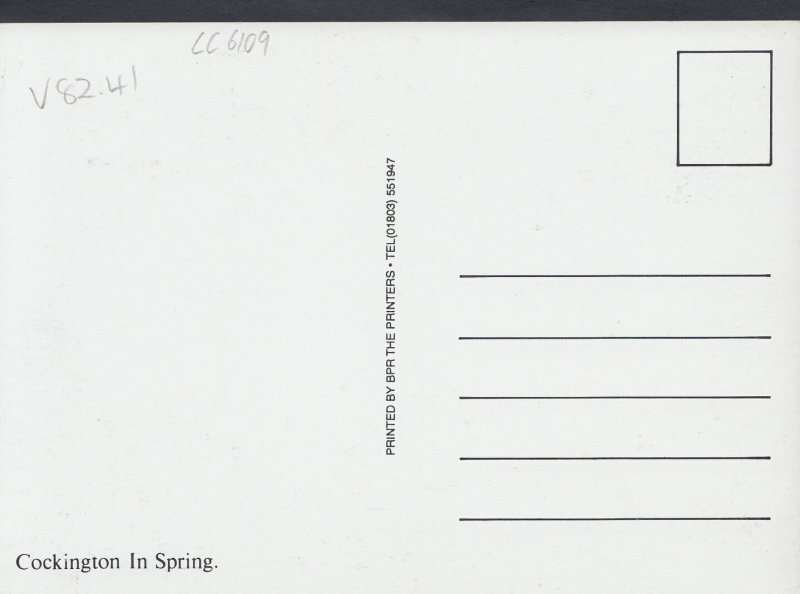 Devon Postcard - Cockington Church In Spring    LC6109