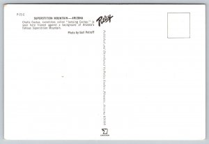 Superstition Mountain  Mesa Arizona  Postcard