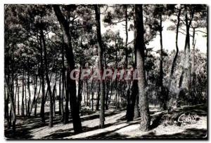 Postcard Modern Approx Saint Nicolas of Bre (Vendee) Bretignolles Sea Foret d...