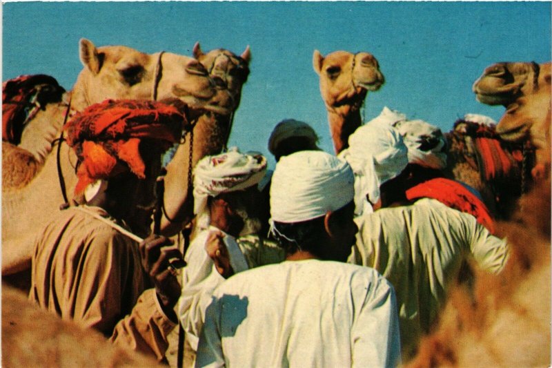 PC CPA SAUDI ARABIA, CAMEL MARKET, Modern Postcard (B3806)