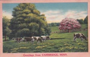 Minnesota Greetings From Cambridge 1960