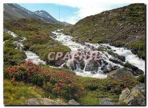 Postcard Modern Wildschaumender Bergbach put Alpenrosen