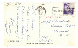 Cats - Regal Princess