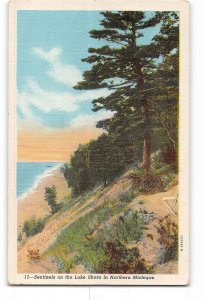 Michigan MI Postcard 1947 Sentinels on the Lake Shore in Northern Michigan