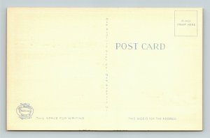 West Falmouth MA-Massachusetts Old Silver Beach Linen Postcard 