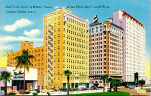 Vtg Wilson Tower White Plaza Driscoll Hotel Corpus Christi Texas TX Postcard
