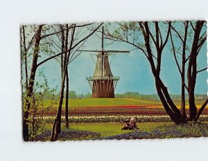 Postcard De Zwaan Windmill Holland Michigan USA