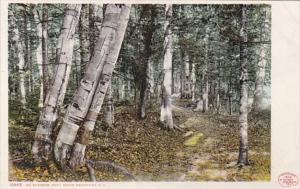 New Hampshire White Mountains Scene On Riverside Path Detroit Publishing