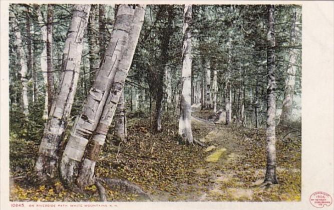 New Hampshire White Mountains Scene On Riverside Path Detroit Publishing