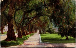 Vtg Pasadena California CA Marengo Avenue 1910s Postcard