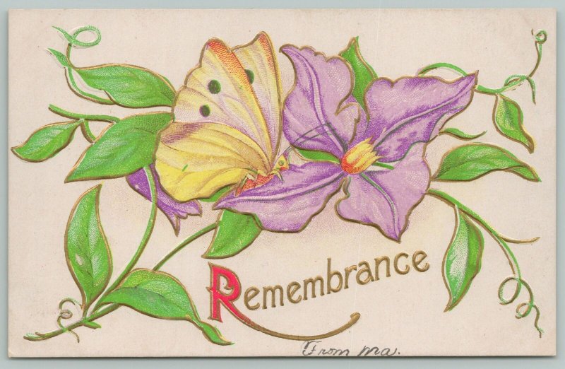 Flowers Greetings~Butterfly Resting on Purple Bluebell~c1910 Postcard