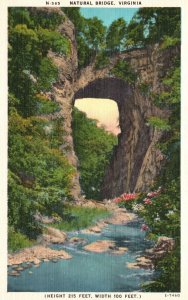 Vintage Postcard Natural Bridge Virginia Surveyed By Young George Washington