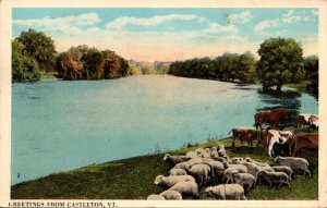 Vermont Greetings From Castleton Curteich