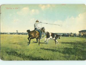 Unused Divided-Back COWBOY ON HORSE ROPES COW Published In Cheyenne WY v4316